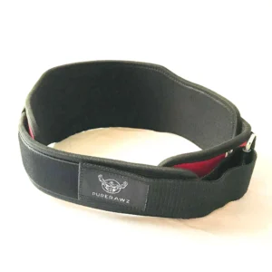 Nylon Weightlifting Belt