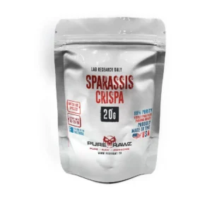 Sparassis Crispa